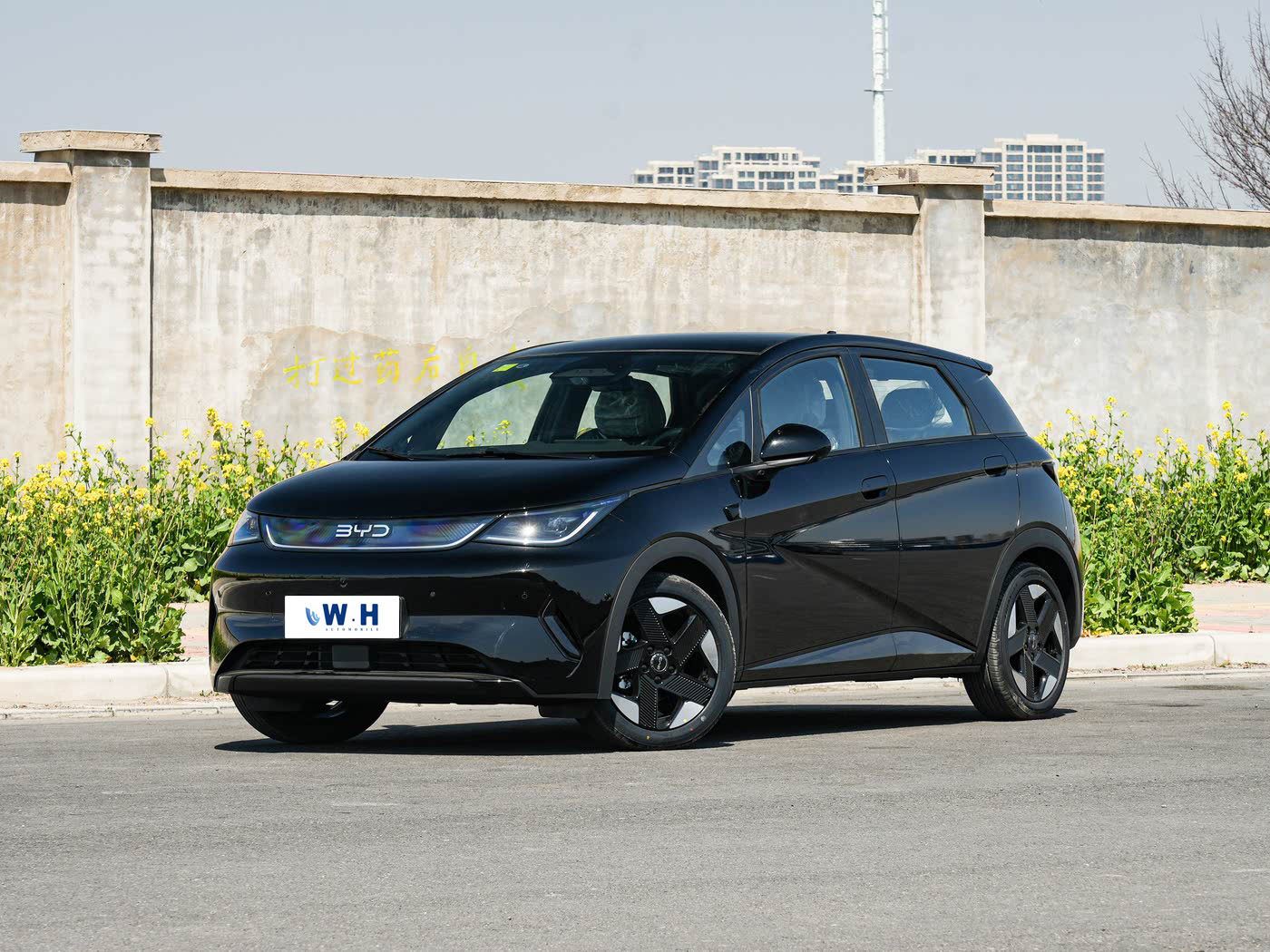 BYD Dolphin