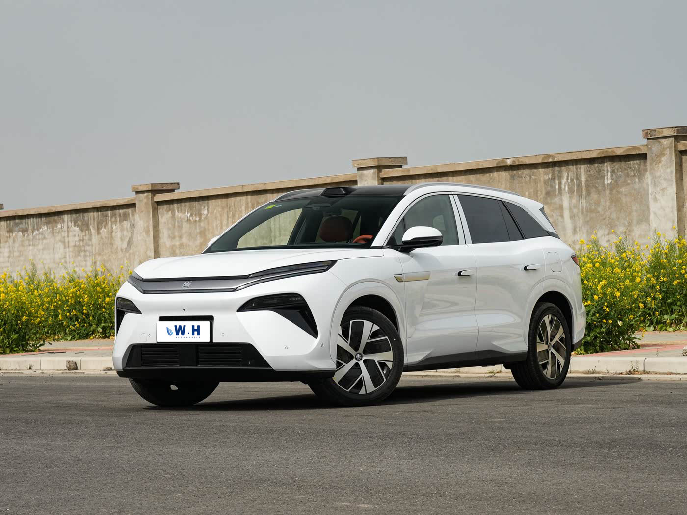 Byd Tang L