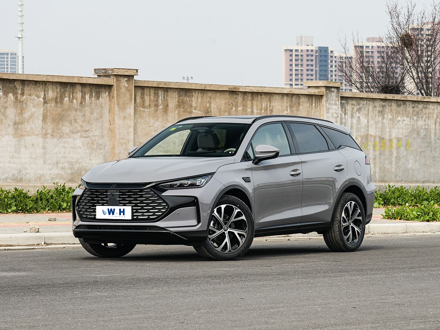 Byd Tang New energy