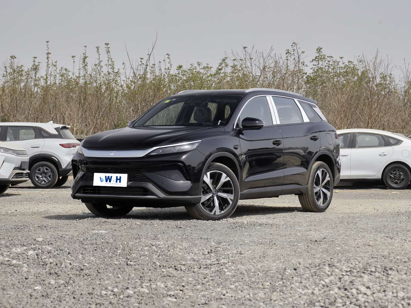 Byd Song PRO New energy