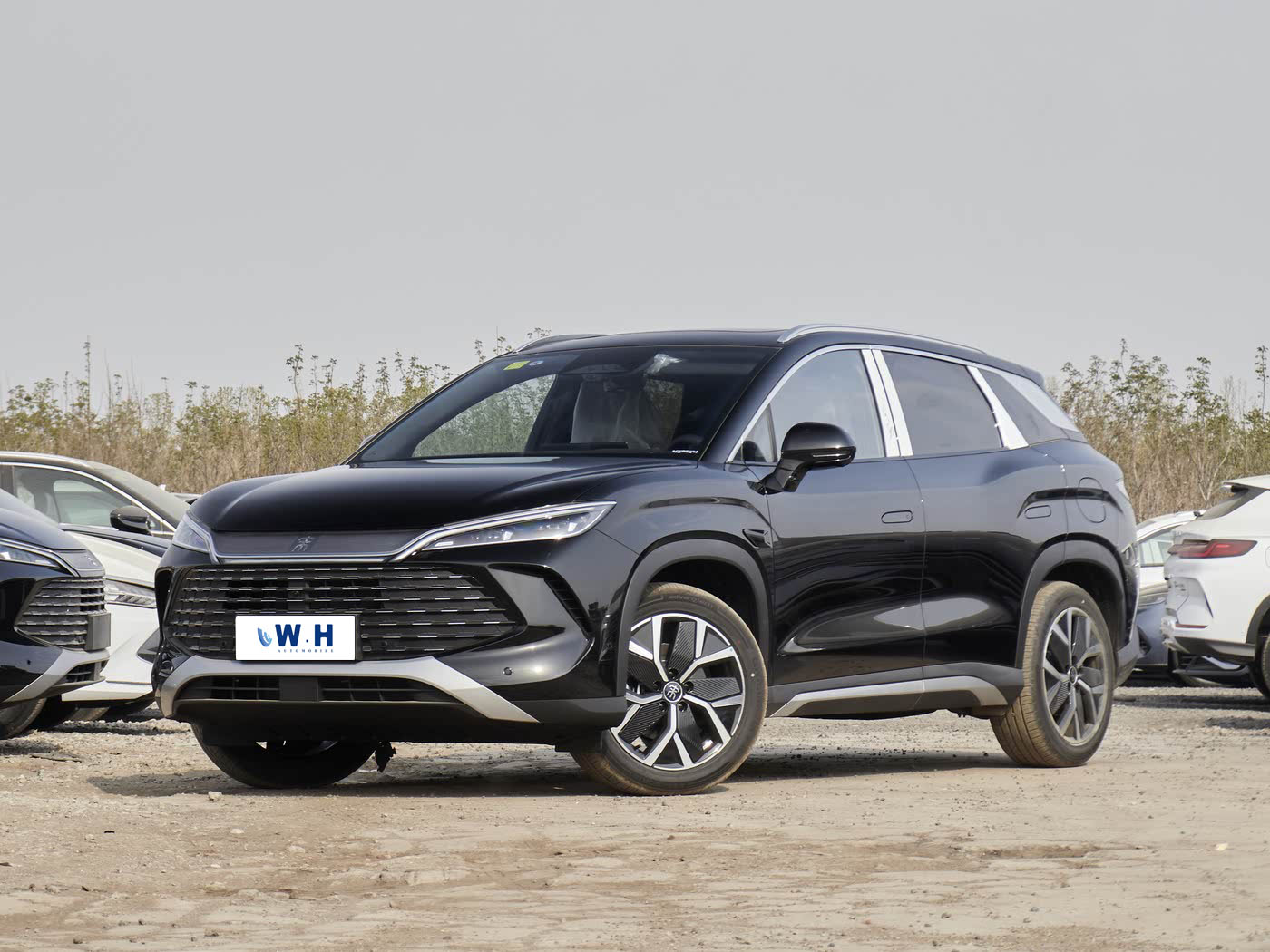 Byd Song L DM-i