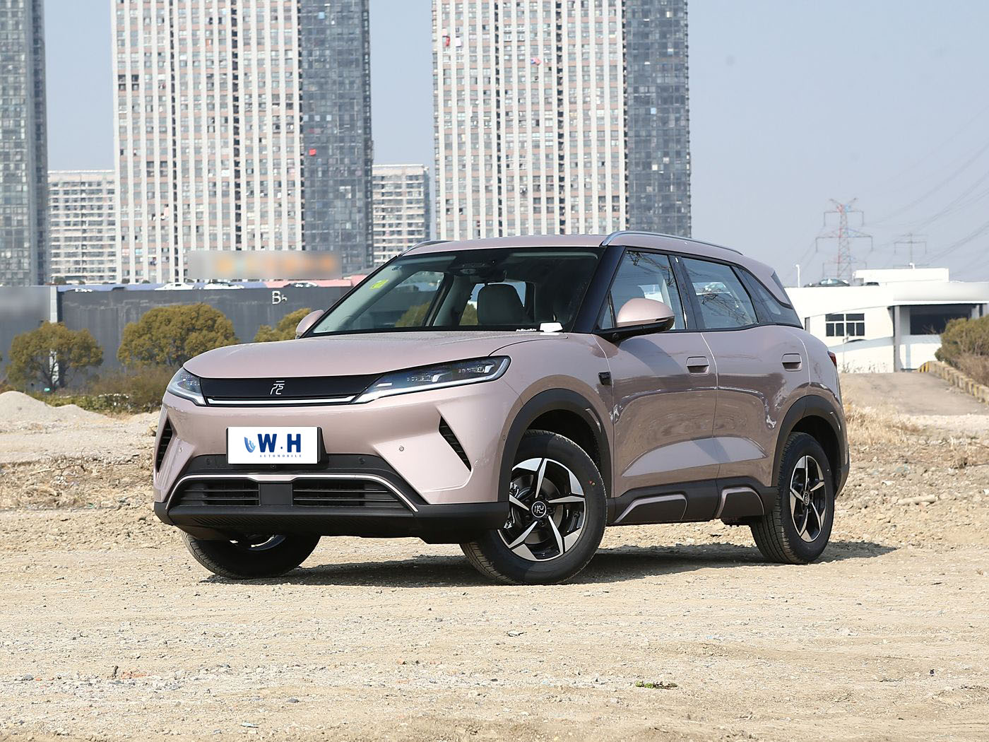 byd yuan up