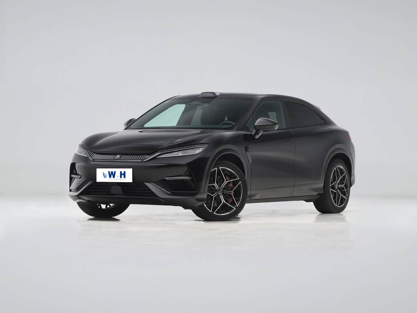 byd song L EV