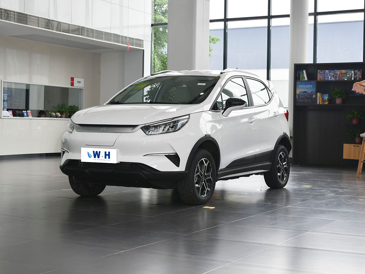 BYD Yuan Pro