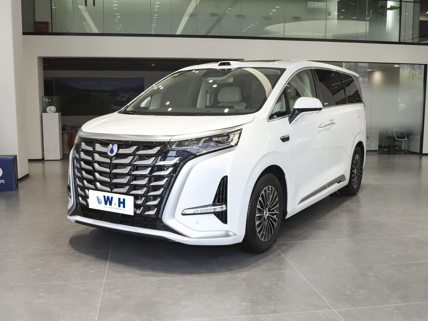 BYD DENZA D9