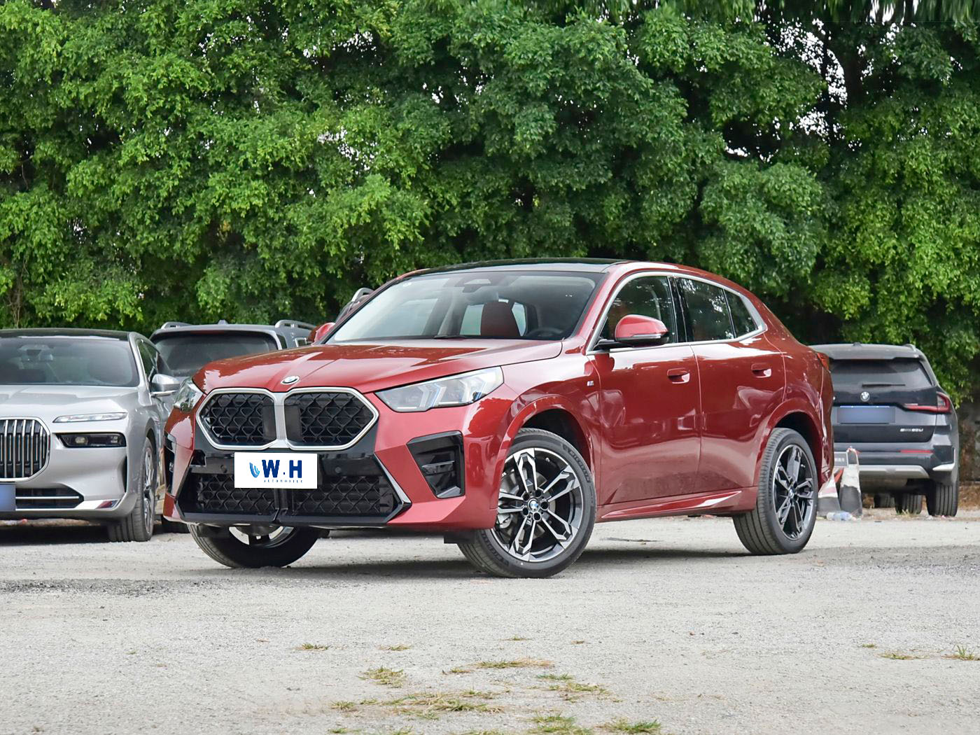 BMW x2(import)