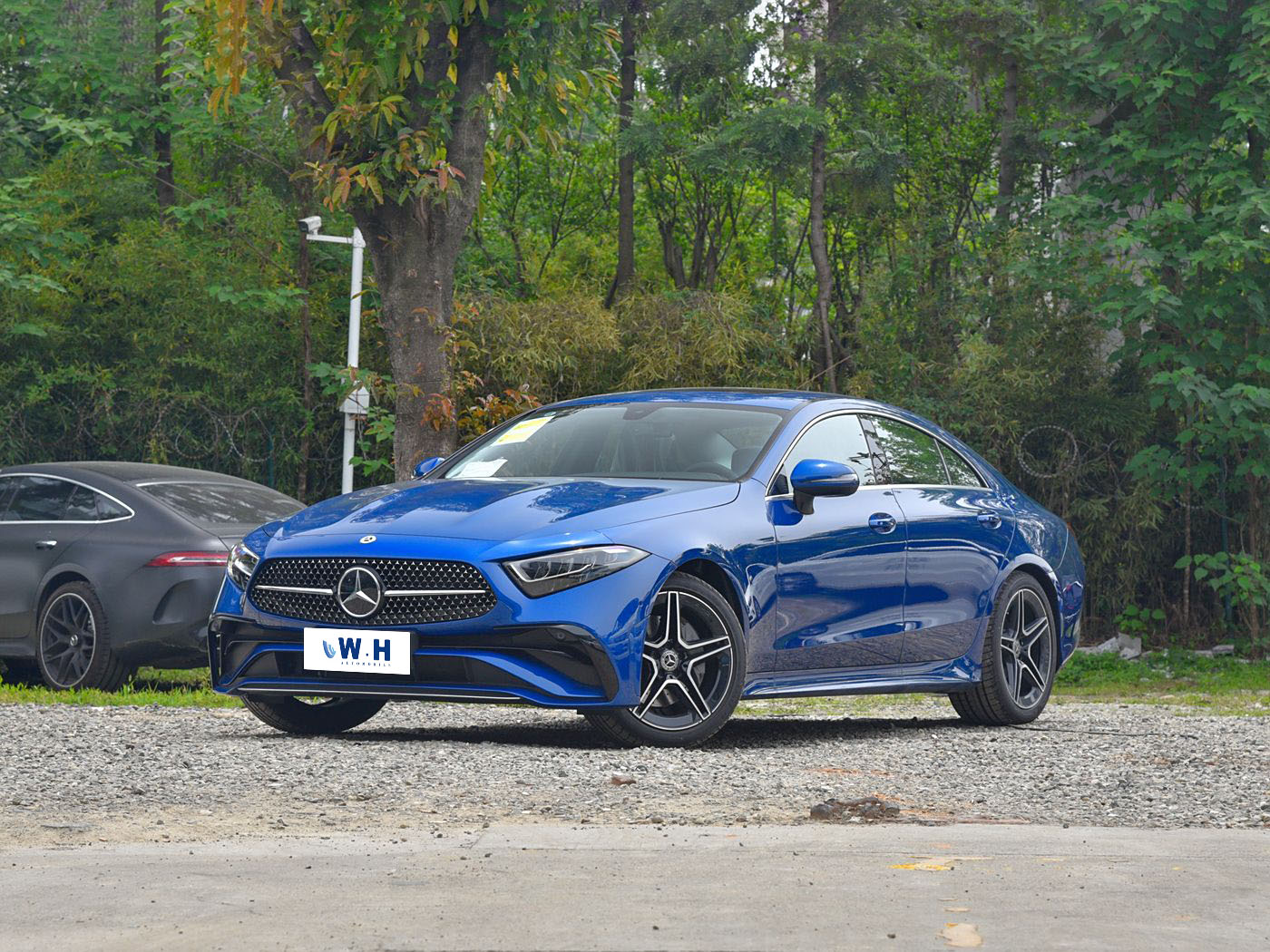 Mercedes-Benz CLS（import）