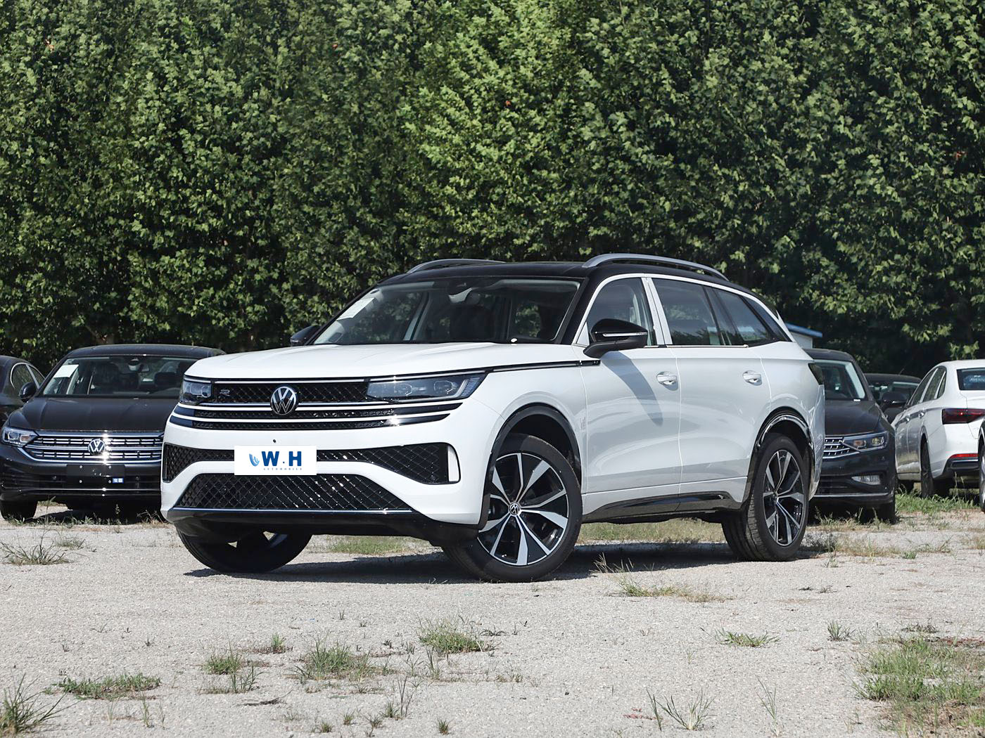 FAW-Volkswagen Tavendor