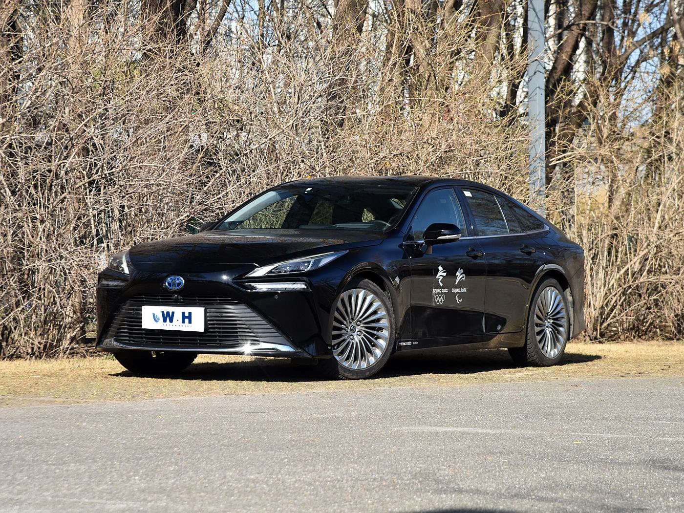 TOYOTA Mirai (import)